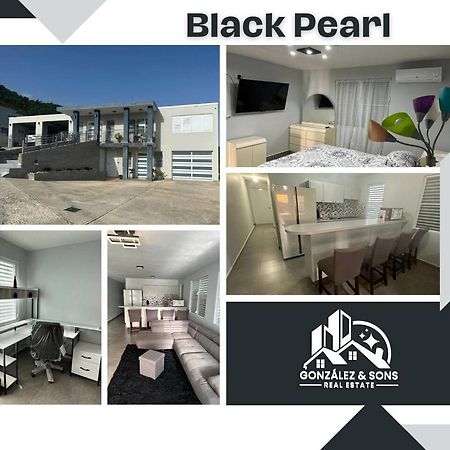 Black Pearl غواياما المظهر الخارجي الصورة