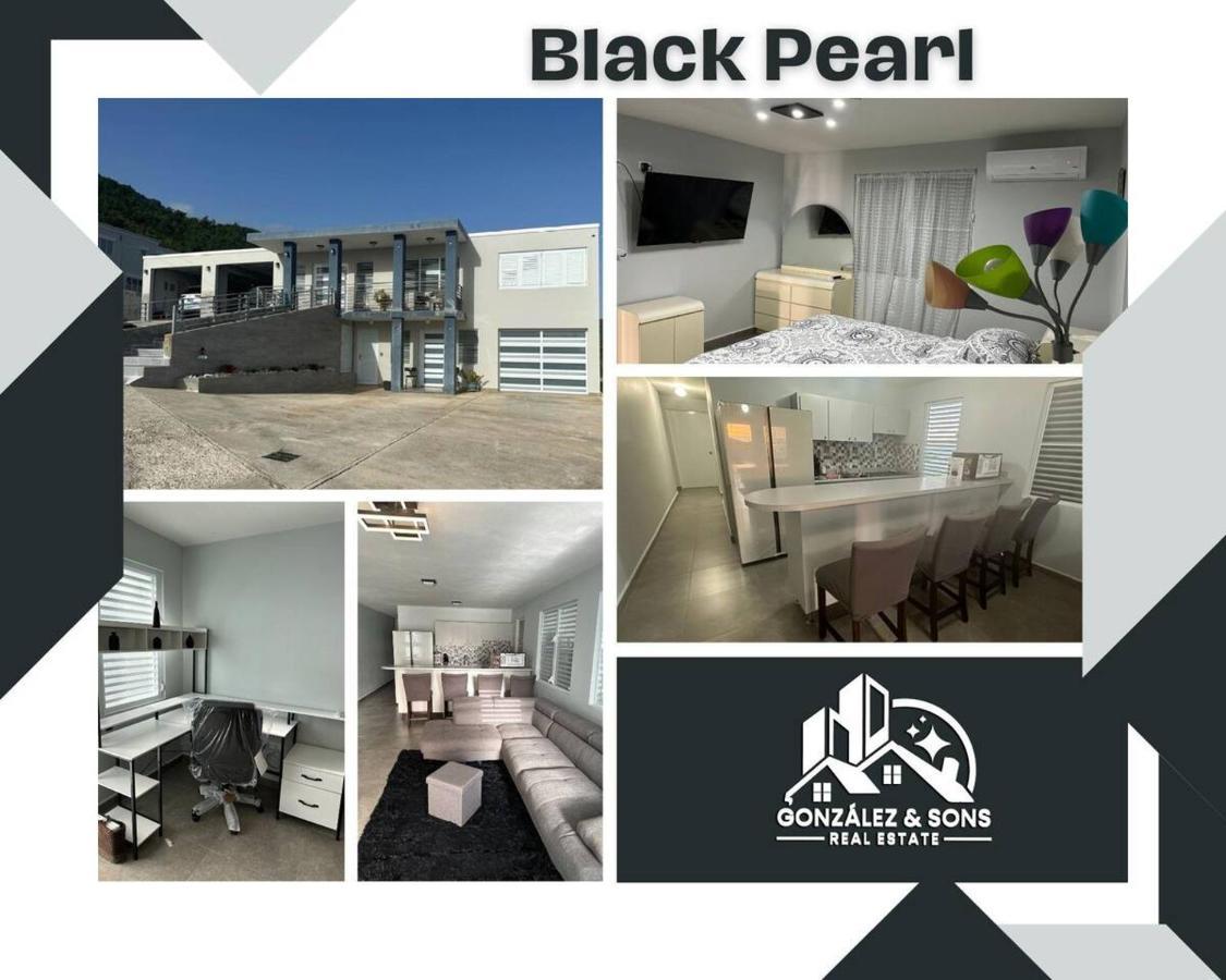 Black Pearl غواياما المظهر الخارجي الصورة